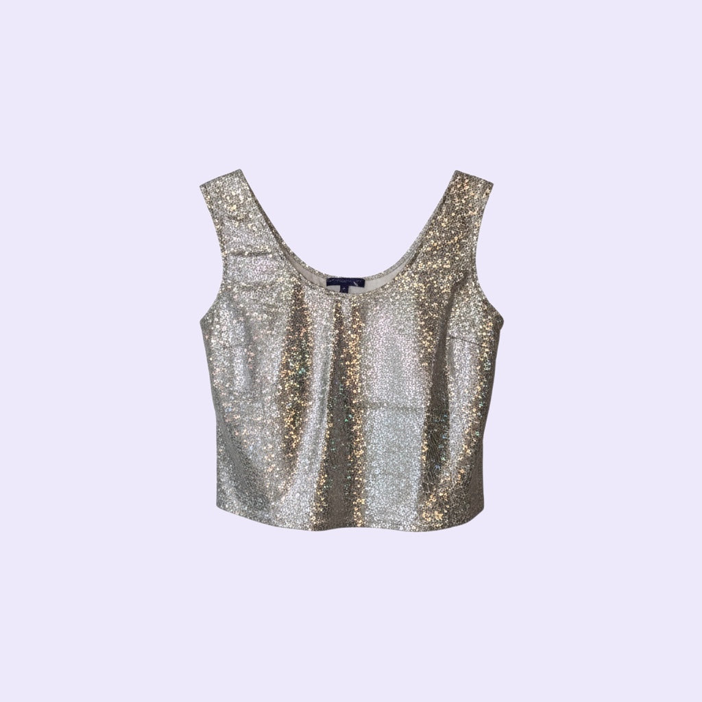 Silver Holographic Crop Top